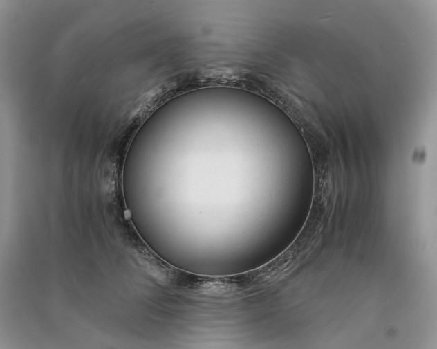 X0000090920708200708131433