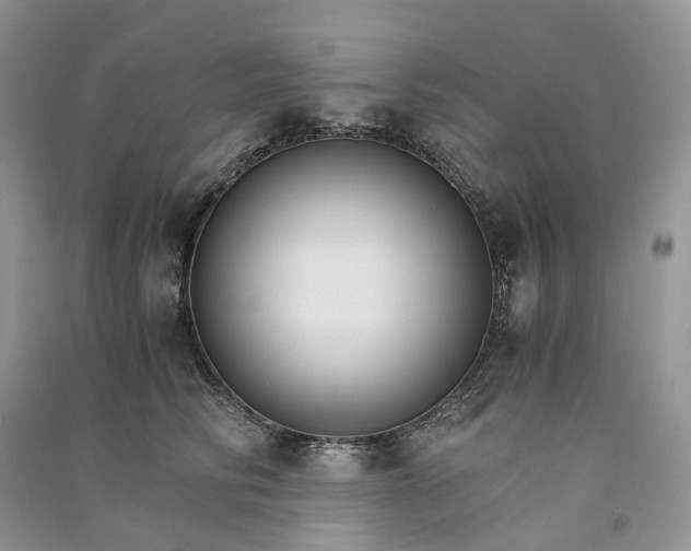 X0000090920710200708131433