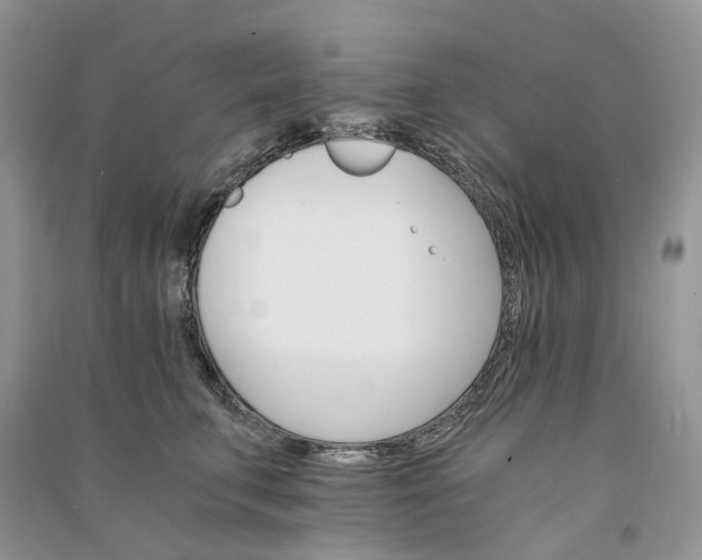 X0000090920711200708131433