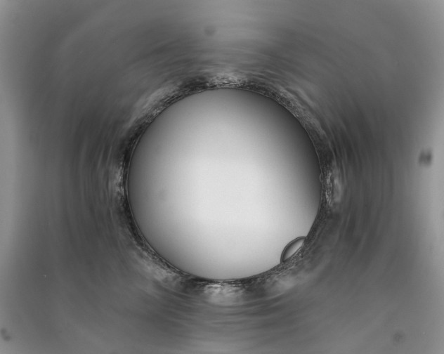 X0000090920714200708131433