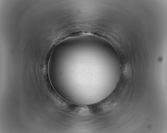 X0000090920715200708131433