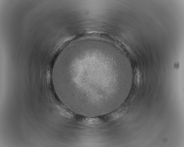 X0000090920716200708131433