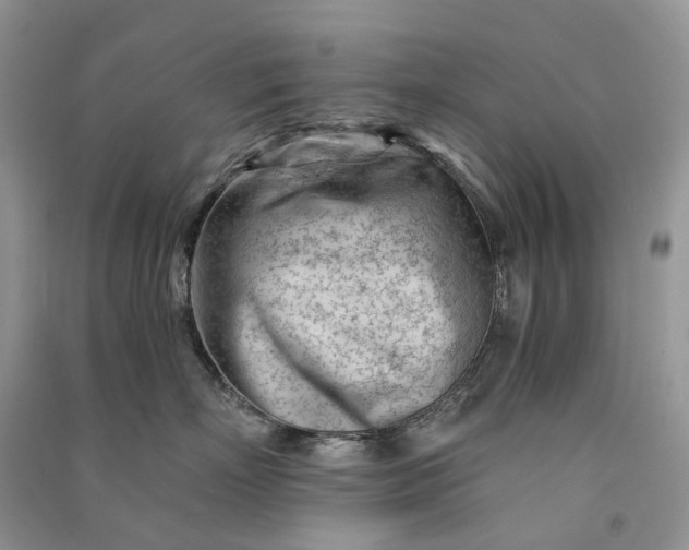 X0000090920718200708131433