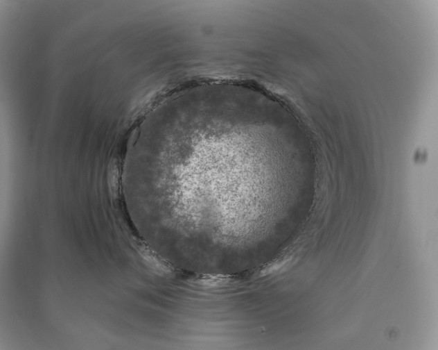 X0000090920720200708131433