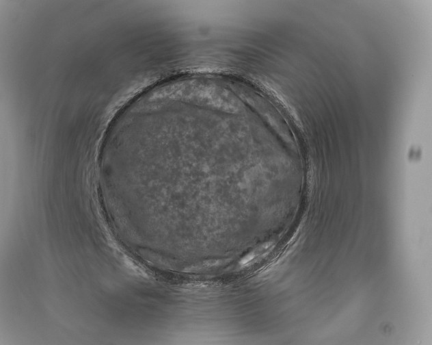 X0000090920721200708131432