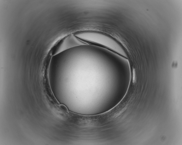 X0000090920723200708131432