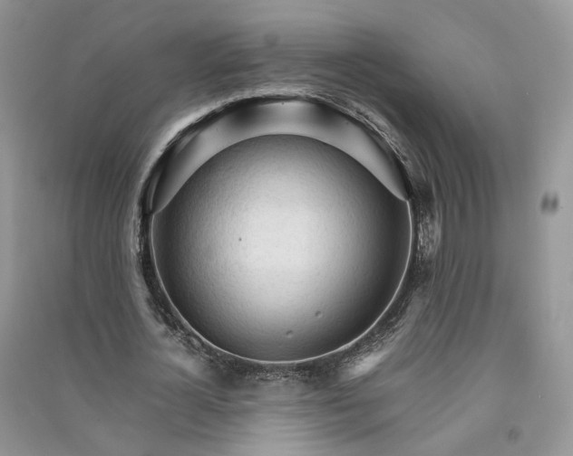 X0000090920724200708131432