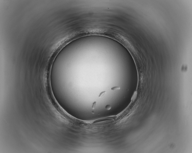 X0000090920725200708131432