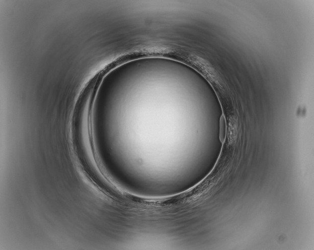 X0000090920726200708131432