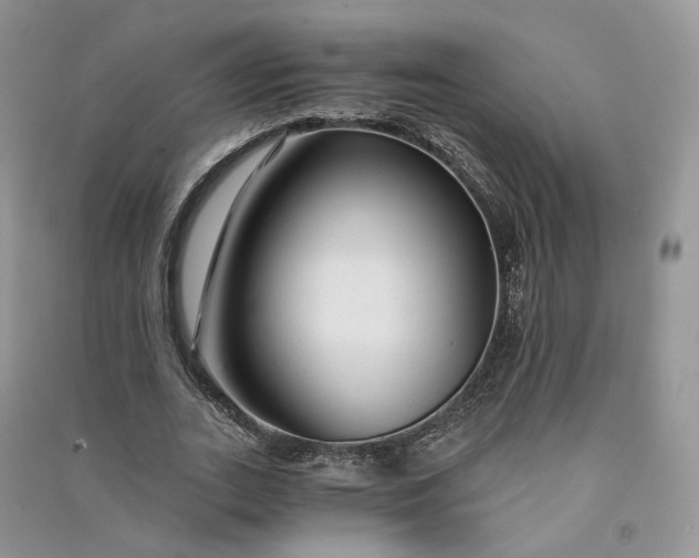 X0000090920727200708131432