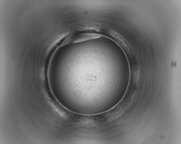 X0000090920729200708131432