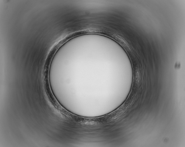 X0000090920730200708131432