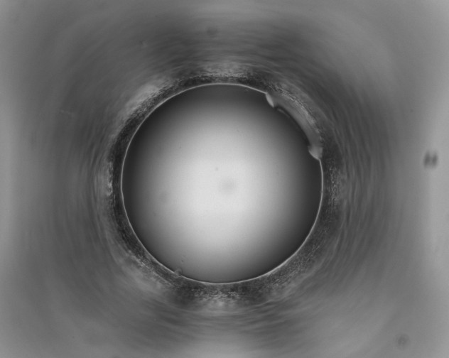 X0000090920731200708131432