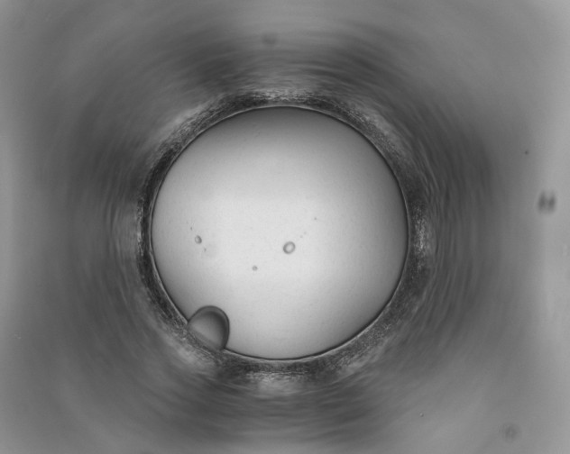 X0000090920733200708131432