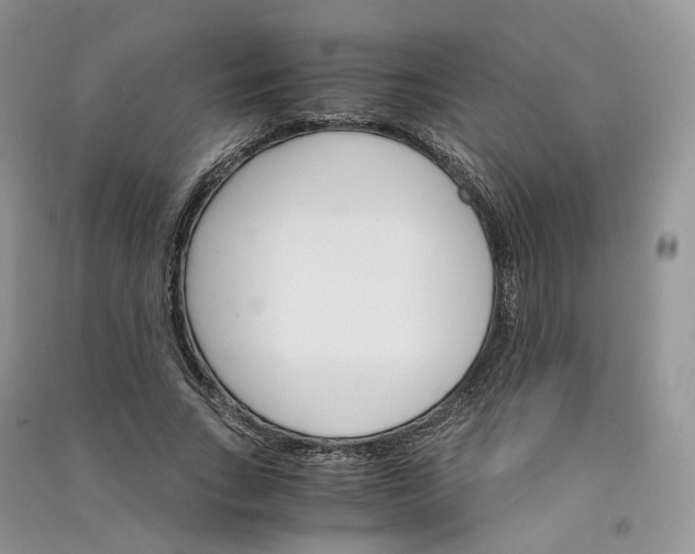 X0000090920735200708131432