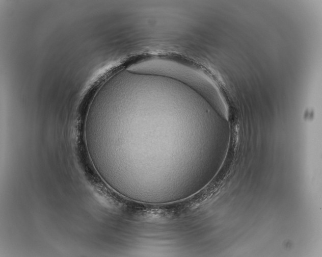 X0000090920736200708131432