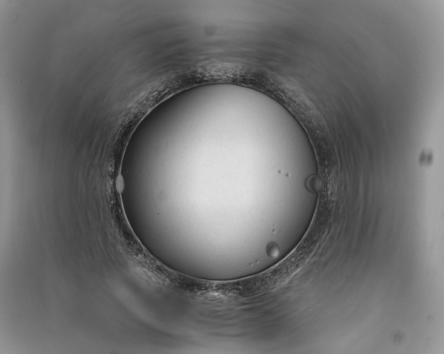 X0000090920737200708131432