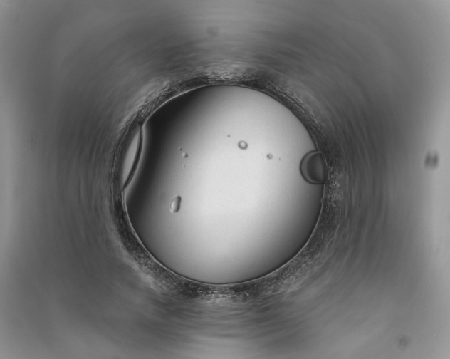 X0000090920738200708131432