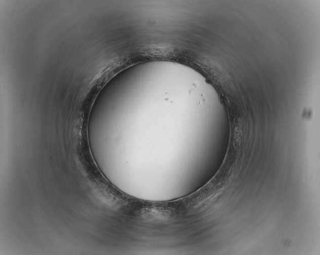 X0000090920739200708131432