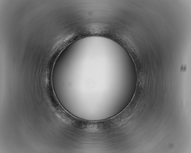 X0000090920740200708131432