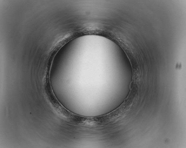 X0000090920742200708131432