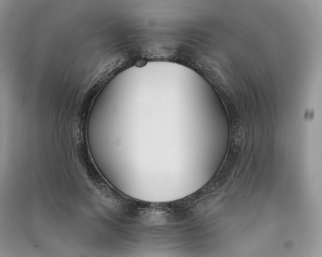 X0000090920743200708131433