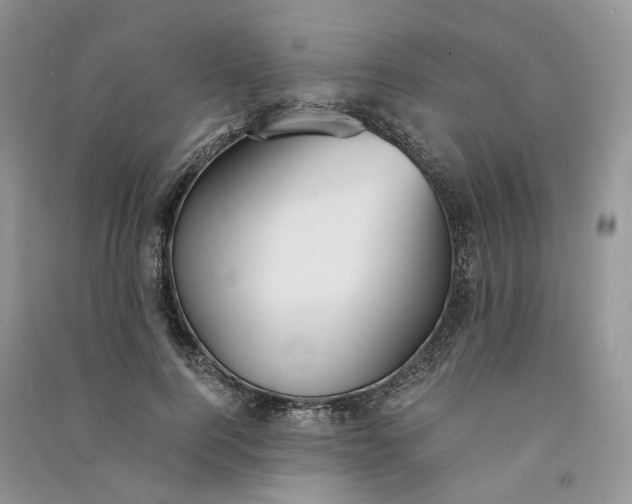 X0000090920744200708131433