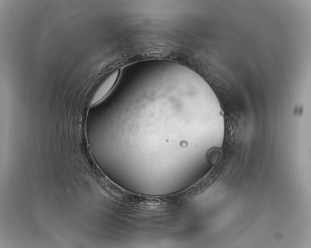 X0000090920745200708131433