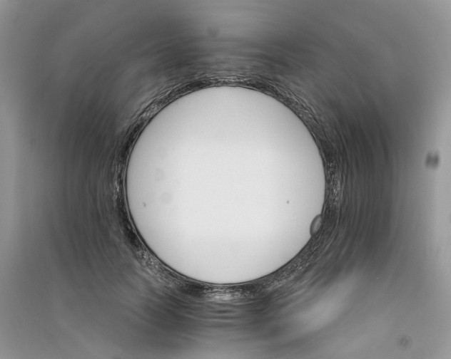 X0000090920746200708131433