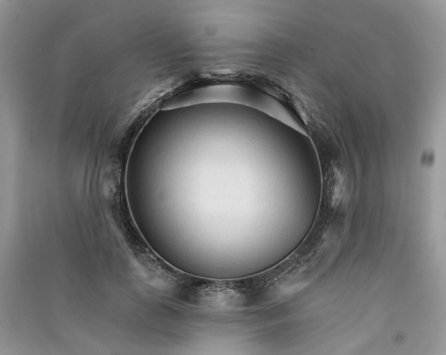 X0000090920747200708131433