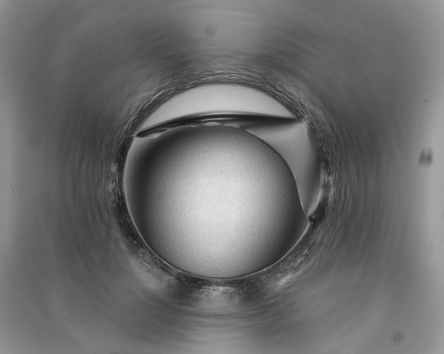 X0000090920748200708131433