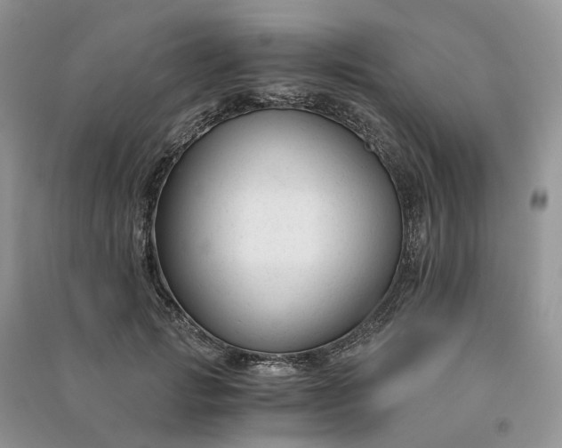 X0000090920749200708131433