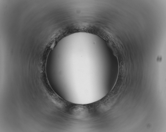 X0000090920750200708131433