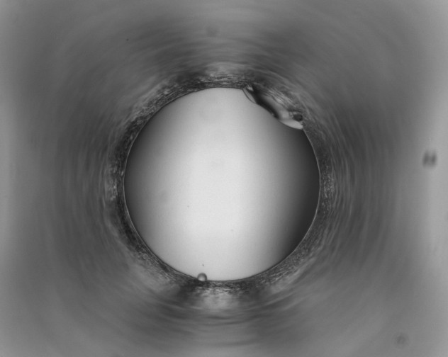 X0000090920751200708131433