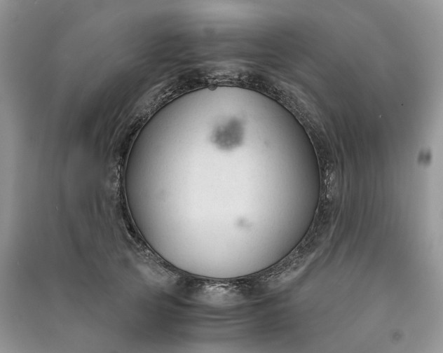 X0000090920753200708131433