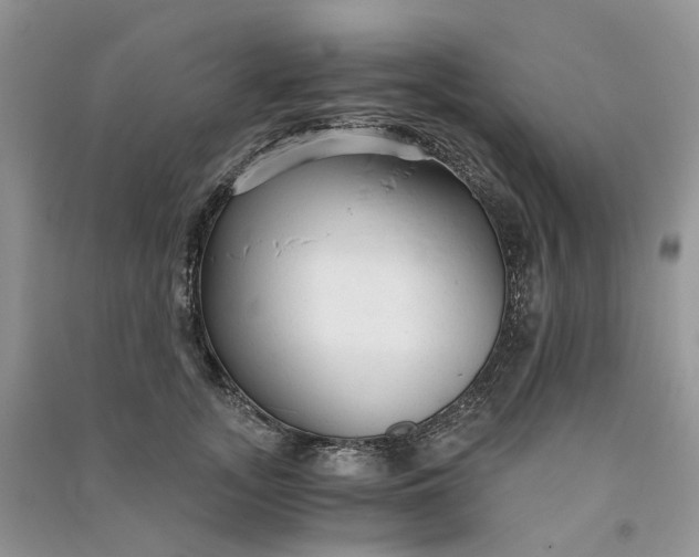 X0000090920755200708131433