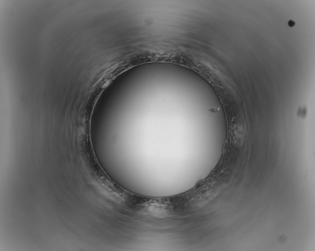 X0000090920756200708131433