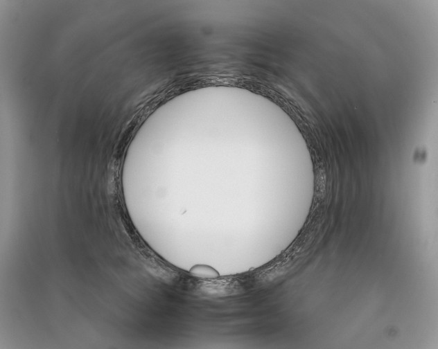 X0000090920757200708131433