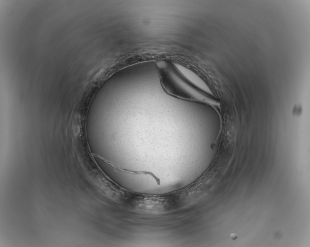 X0000090920758200708131433