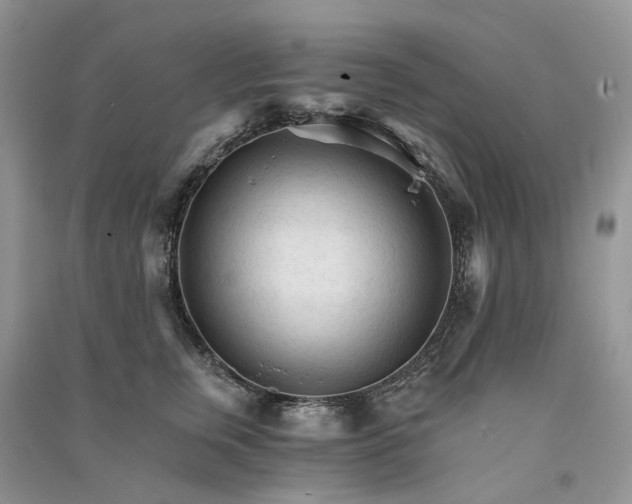 X0000090920759200708131433