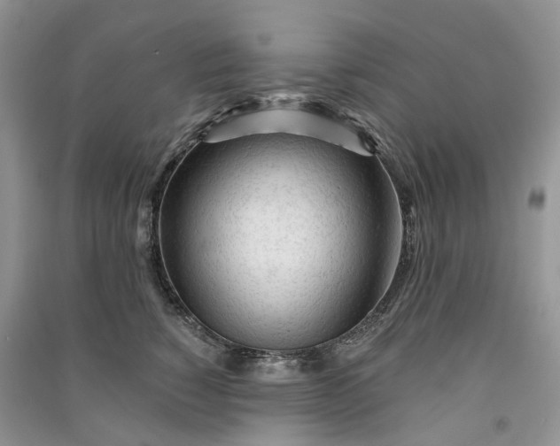 X0000090920760200708131433