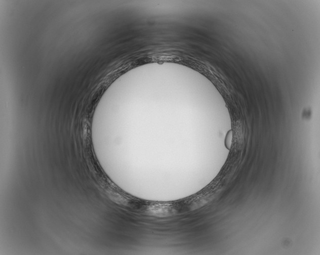 X0000090920761200708131433