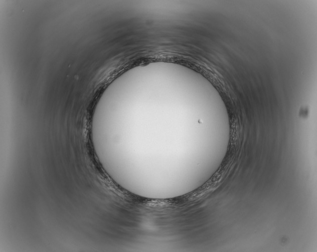 X0000090920762200708131433