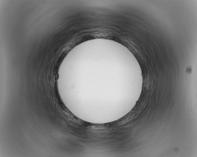 X0000090920763200708131433