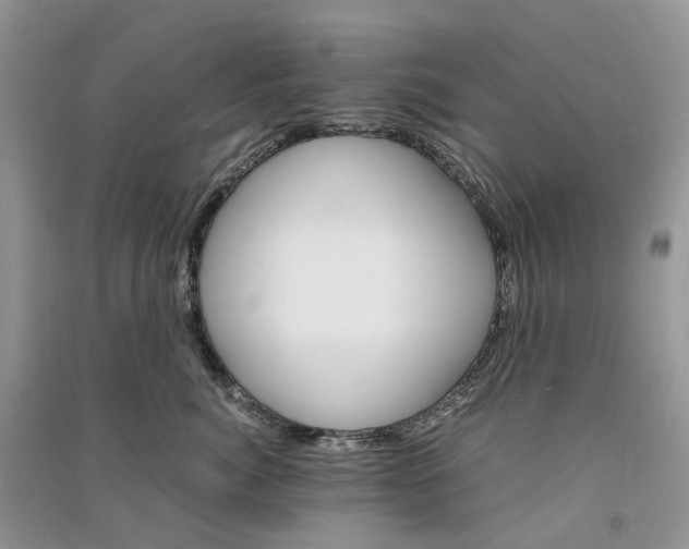 X0000090920764200708131433