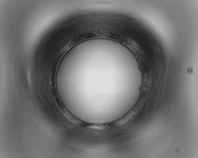 X0000090920765200708131433