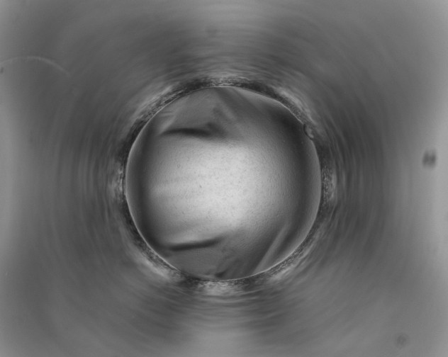 X0000090920766200708131433