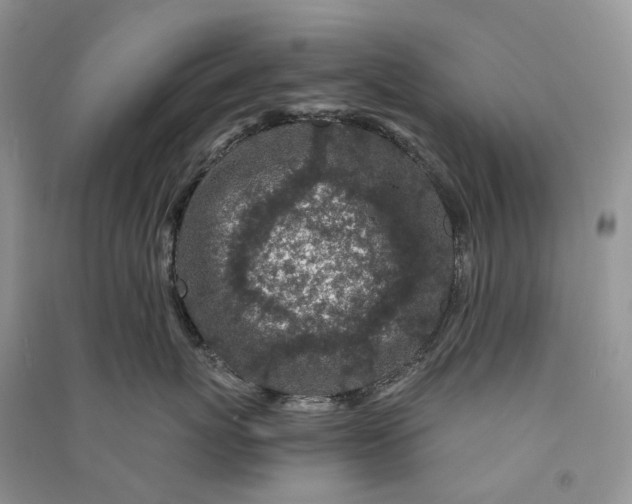 X0000090920767200708131433