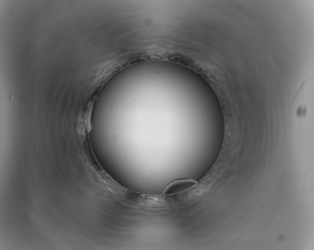 X0000090920768200708131433