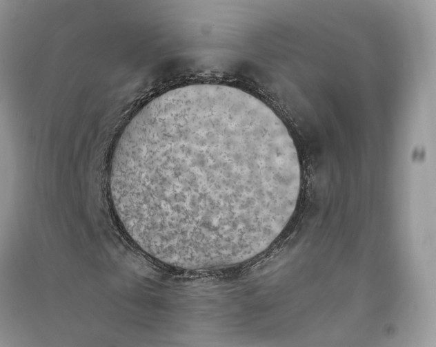 X0000090920769200708131432